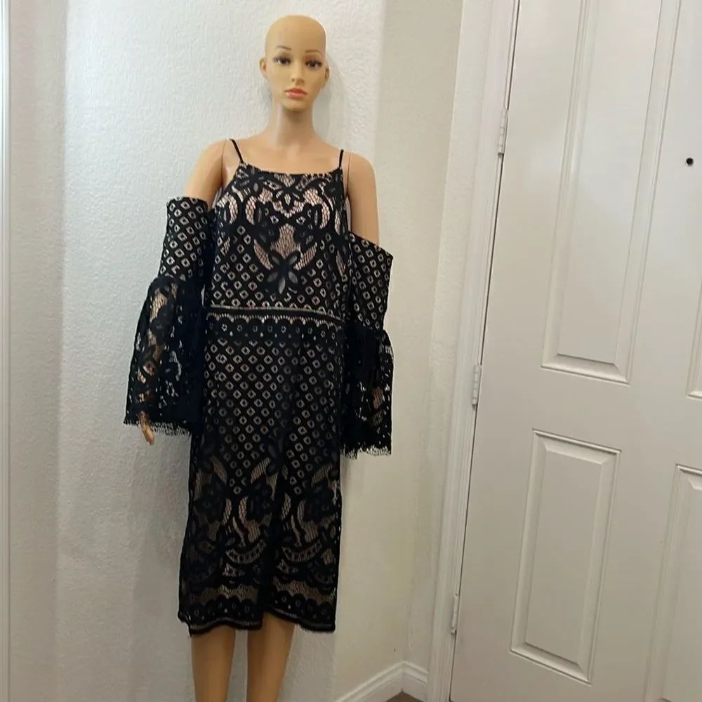 R&M Richards Women's Dress Lace Mesh Black Beige Lining Sz 20W Holiday Elegant